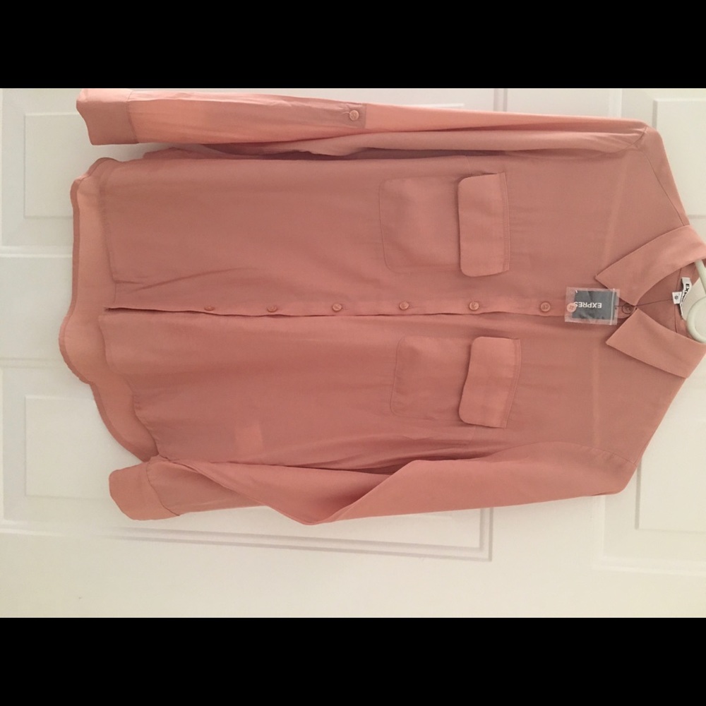 Express Blush Button Down Shirt - Picture 2 of 8